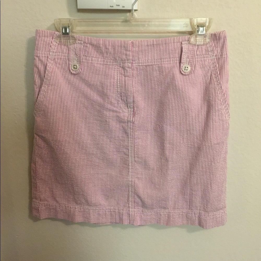 Ann Taylor Skirt